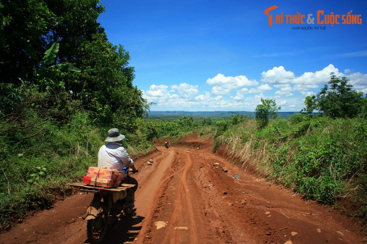 Nhung khoanh khac dep quen loi ve tren manh dat Binh Phuoc-Hinh-11