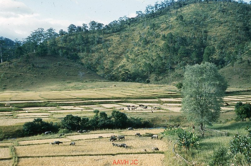 Loat anh hiem co kho tim ve Da Lat mong mo nam 1959-Hinh-9