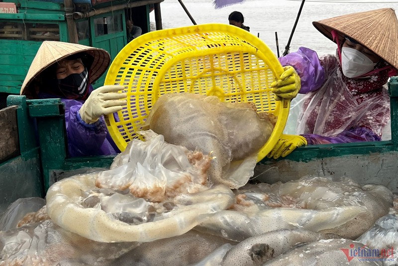 Ra khoi vot sua, ngu dan Thanh Hoa kiem tien trieu moi ngay-Hinh-2