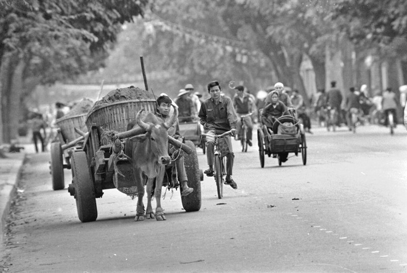 Buc tranh giao thong thu vi o Ha Noi nam 1973-Hinh-13