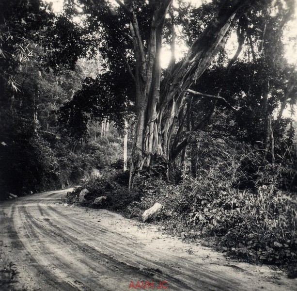 Ngam phong canh hoang so tren duong di Da Lat nam 1934-Hinh-4