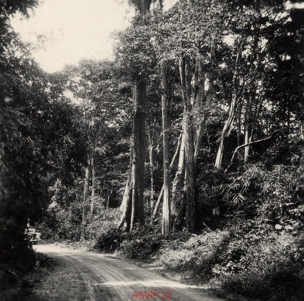 Ngam phong canh hoang so tren duong di Da Lat nam 1934-Hinh-5