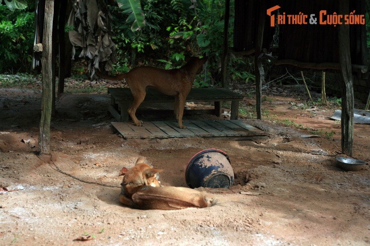 Loat trai nghiem thu vi chi co o dao ngoc Phu Quoc-Hinh-6