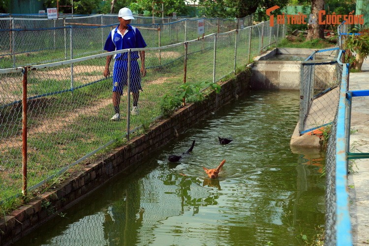 Loat trai nghiem thu vi chi co o dao ngoc Phu Quoc-Hinh-7