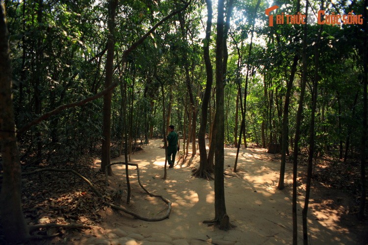 Vi sao dia dao Cu Chi khien du khach khap the gioi muon ghe tham?