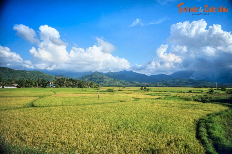 Man nhan canh tuong tuyet voi tren duong tu Hue di Da Nang-Hinh-6