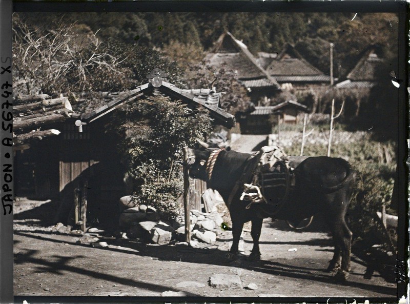 Anh mau cuc hiem dep nhu tranh ve ve ngoi lang gan Kyoto nam 1926-Hinh-9