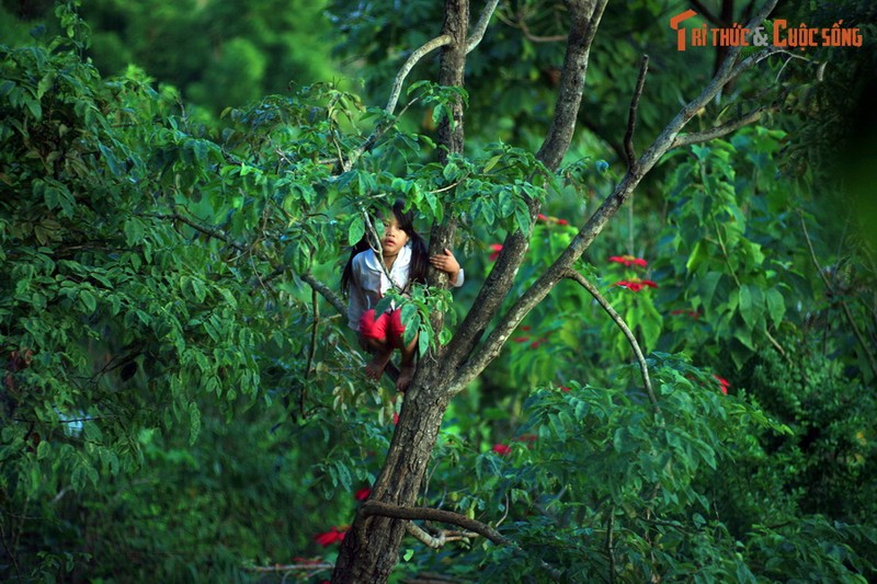 Cung duong “song lung khung long” dep sieu thuc giua Son La va Dien Bien-Hinh-12