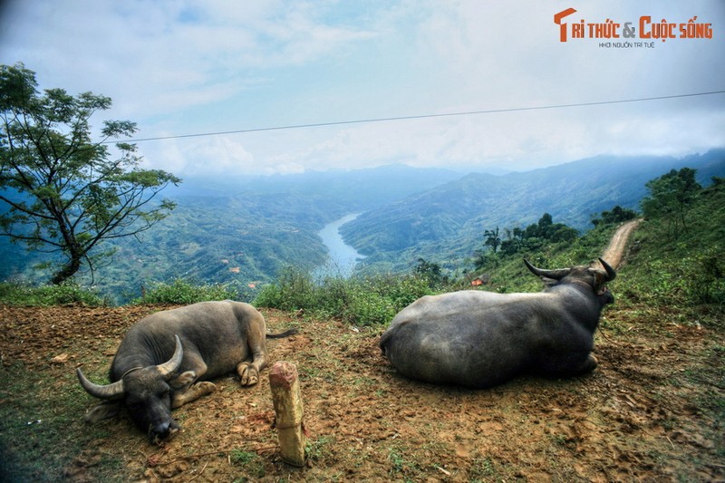 Ve dep dam say long nguoi cua cung duong Muong Khuong - Bac Ha-Hinh-9