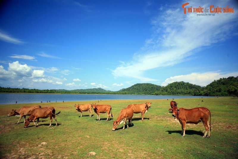 Diem dung chan dac biet tren duong tu Ban Don di Pleiku-Hinh-5