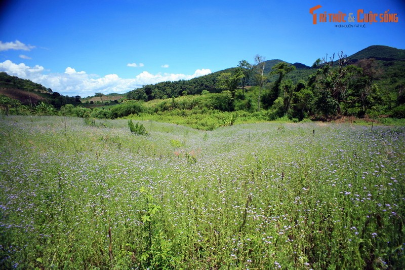 Khoanh khac kho quen tren hanh trinh Kon Dong - Ayun Pa-Hinh-11