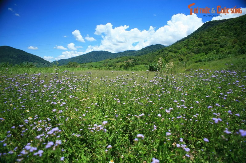 Khoanh khac kho quen tren hanh trinh Kon Dong - Ayun Pa-Hinh-4