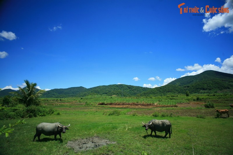 Khoanh khac kho quen tren hanh trinh Kon Dong - Ayun Pa-Hinh-5