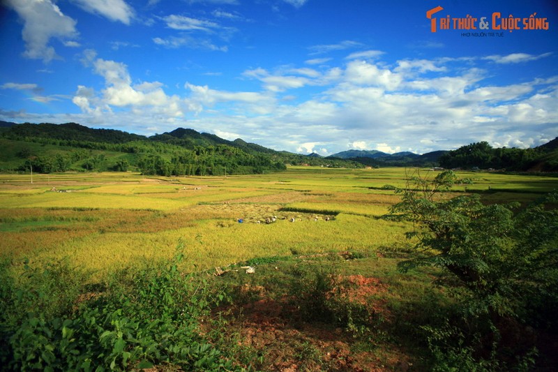 Ngan nguoi truoc phong canh tuyet voi o Sop Cop, Son La-Hinh-10