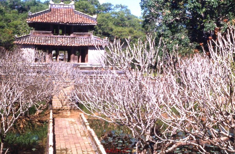 Anh mau sieu hiem ve lang vua Minh Mang thap nien 1950-Hinh-7