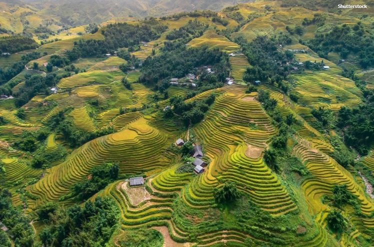 Nhung vien ngoc an giau cua Viet Nam: 10 dia diem cho kham pha-Hinh-4