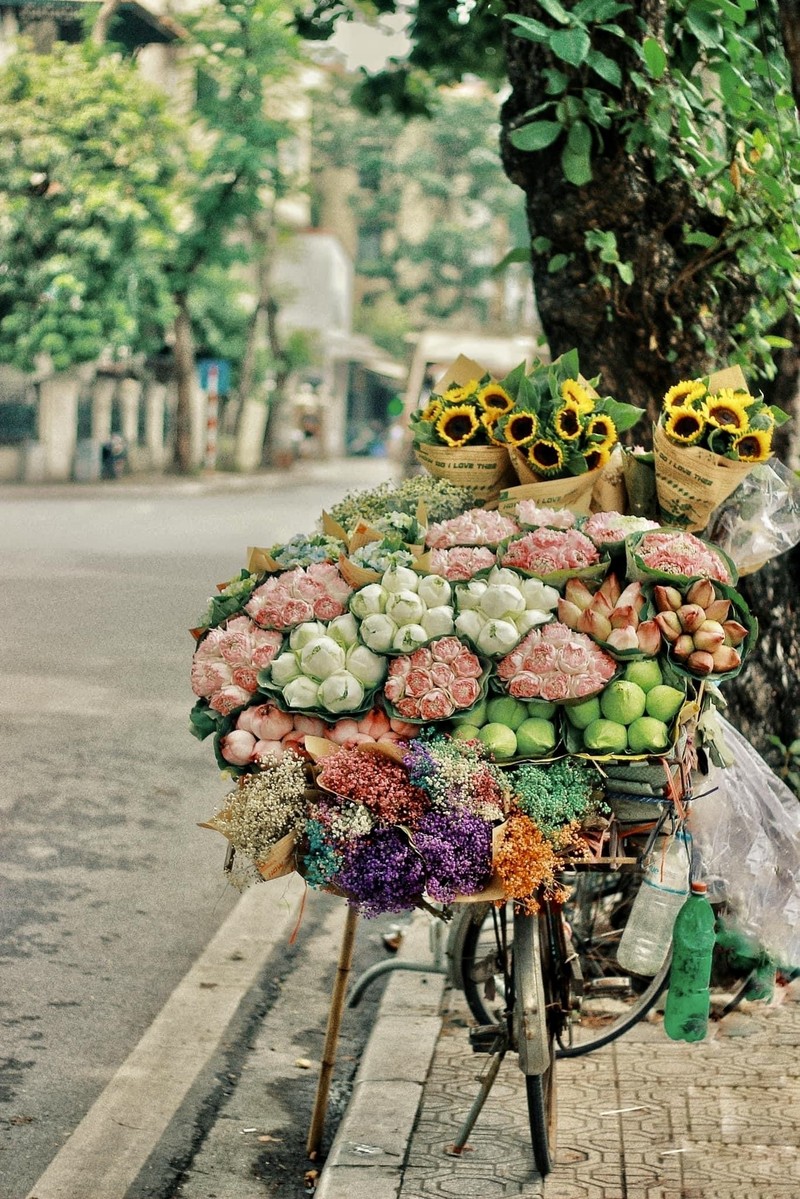 Xe hang hoa dep ngo ngang giua pho phuong Ha Noi-Hinh-5