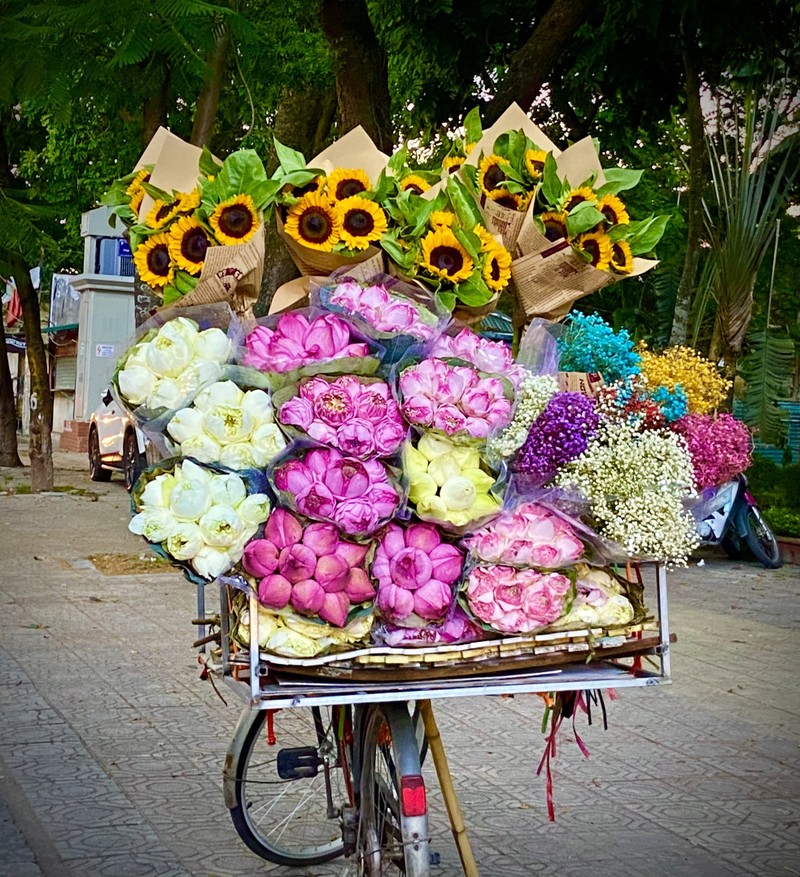 Xe hang hoa dep ngo ngang giua pho phuong Ha Noi-Hinh-8