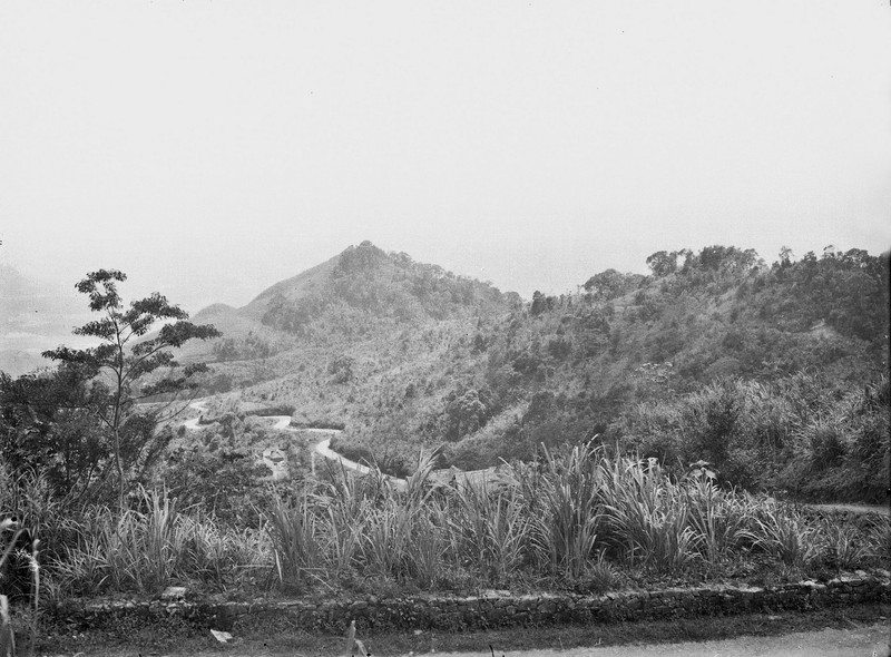 Loat anh vo gia ve khu nghi mat Tam Dao thap nien 1920-Hinh-11