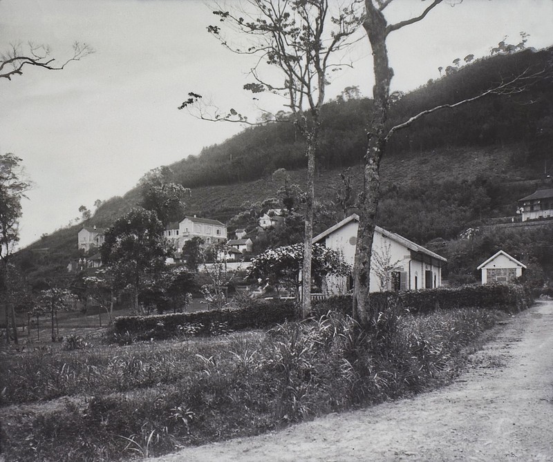 Loat anh vo gia ve khu nghi mat Tam Dao thap nien 1920-Hinh-7