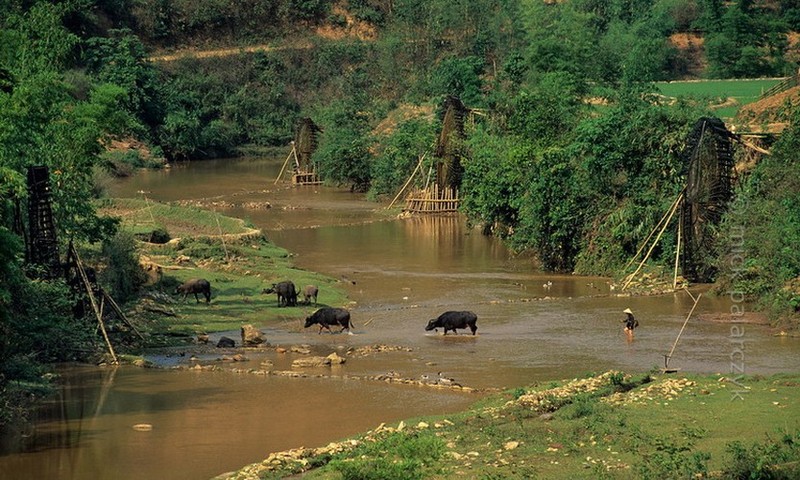 Anh dep hop hon ve phong canh Tay Bac hon mot thap nien truoc-Hinh-7