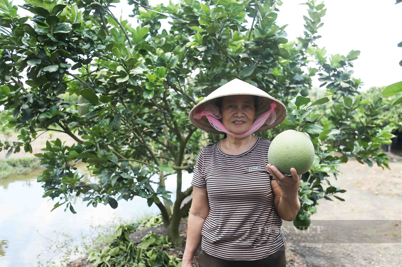 Ba Buoi trong buoi da xanh, lai gan mot ty, xay nha to nhat xom-Hinh-2