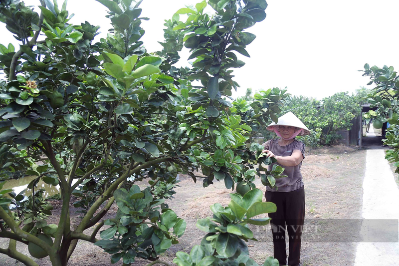 Ba Buoi trong buoi da xanh, lai gan mot ty, xay nha to nhat xom