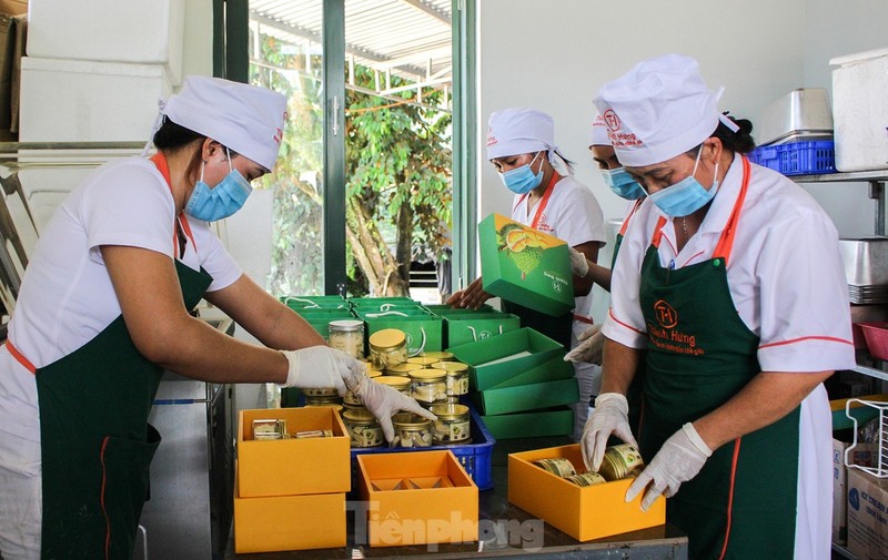 Nong dan 'hai ra tien' nho gia sau rieng phi ma-Hinh-13