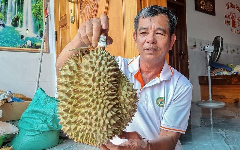 Nong dan 'hai ra tien' nho gia sau rieng phi ma-Hinh-7