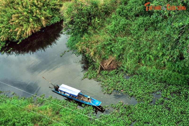 Lac loi o khu rung dam lay than bun co 1-0-2 Viet Nam-Hinh-9