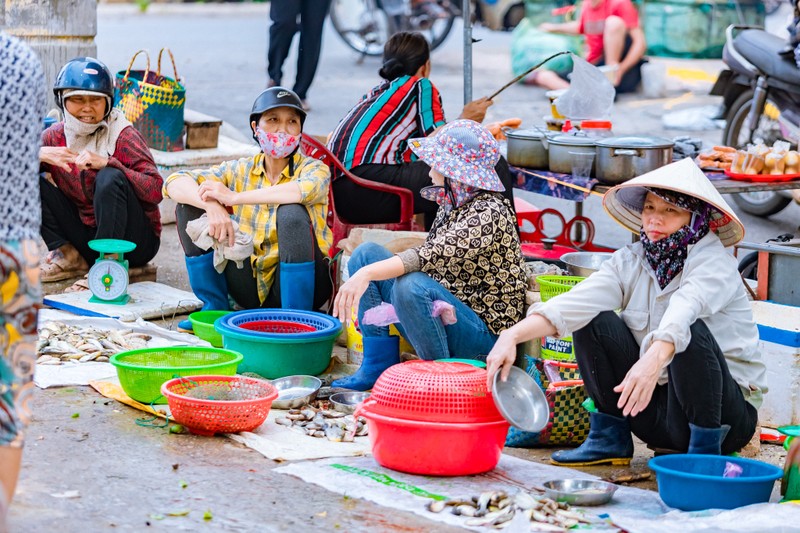 Cho co gan 700 tuoi o Nam Dinh, ban loat qua que ‘re nhu cho’-Hinh-2