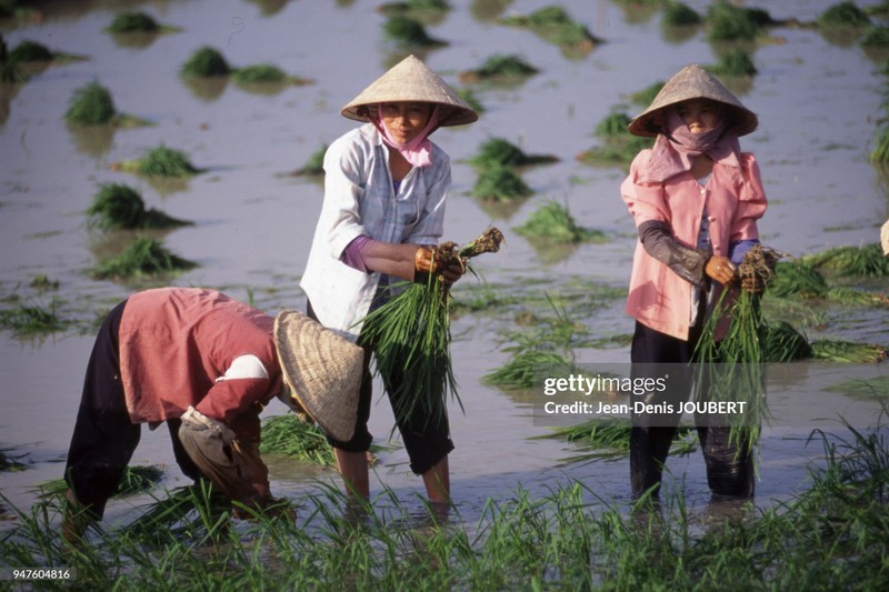 Viet Nam cuoi thap nien 1990 qua loat anh dat gia cua Jean-Denis Jourbert-Hinh-16