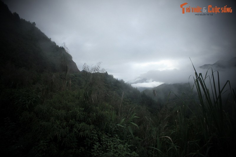 Truyen thuyet dam nuoc mat ve moi tinh bi tham tren deo O Quy Ho-Hinh-4