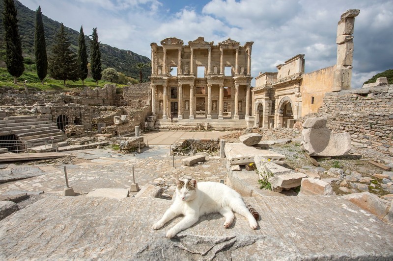 Choang ngop truoc su trang le cua thanh pho co Ephesus-Hinh-11