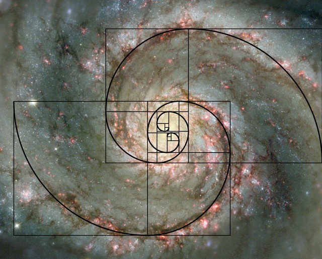 Day so Fibonacci: Bi an cua vu tru hay chi la su trung hop?-Hinh-3