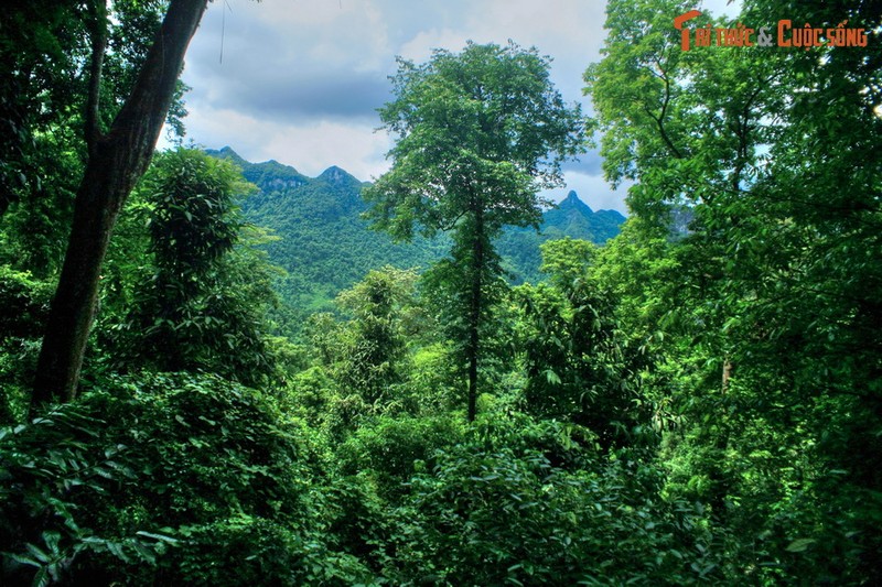 Ngay ngat truoc phong canh dep hang top the gioi cua Quang Binh-Hinh-3