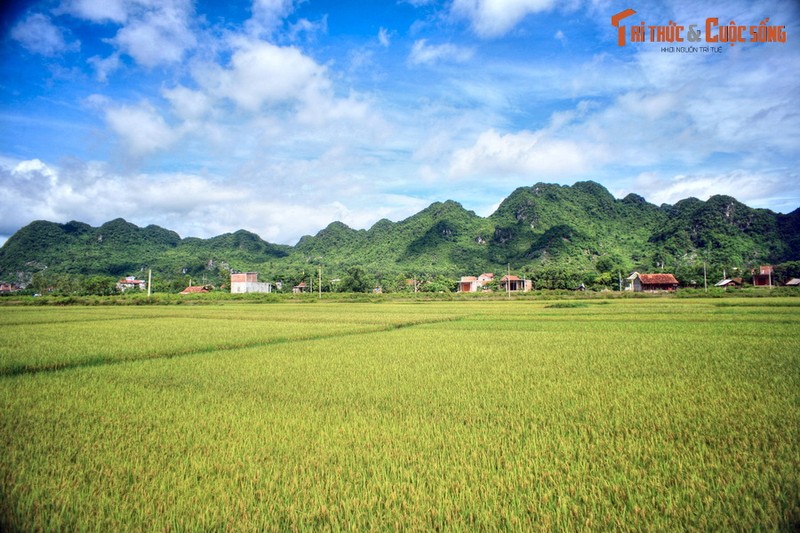 Ngay ngat truoc phong canh dep hang top the gioi cua Quang Binh-Hinh-6