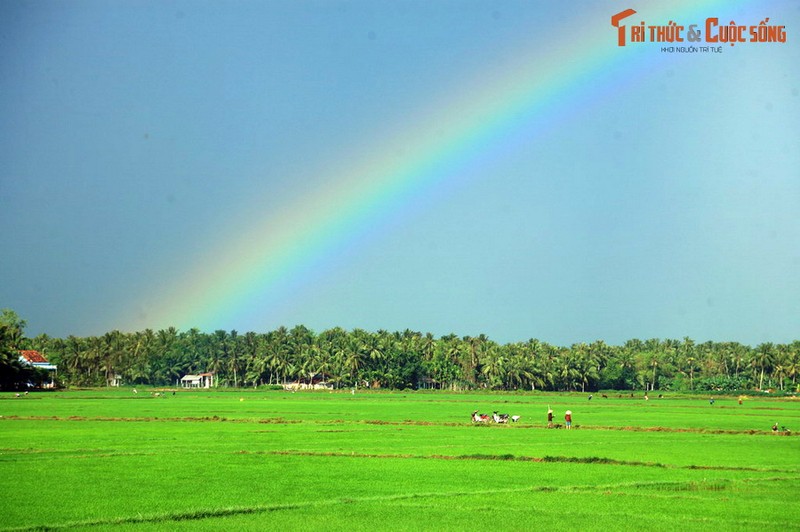 Phong canh dep quen loi ve cua manh dat Quang Ngai-Hinh-4