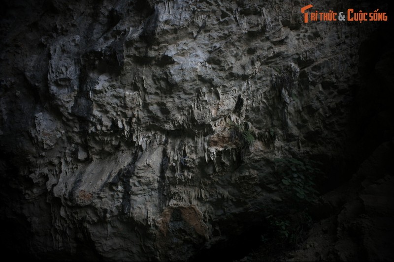 Dot nhap noi cu tru cua sinh vat huyen bi khet tieng Cao Bang-Hinh-8