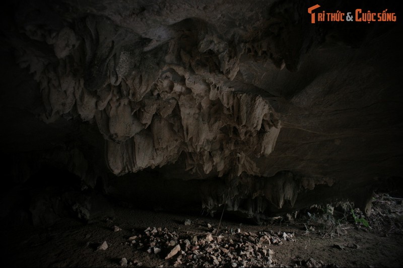 Dot nhap noi cu tru cua sinh vat huyen bi khet tieng Cao Bang-Hinh-9