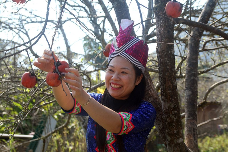 Can canh loai qua ngon, mem, chin mong do treo la liet tren cay-Hinh-7