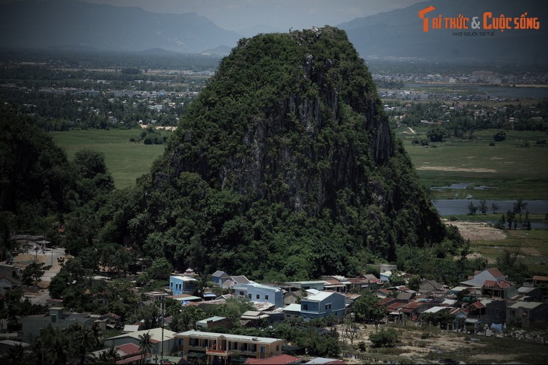 Chuyen ve qua trung khong lo lam nen dieu ky dieu o Da Nang-Hinh-8