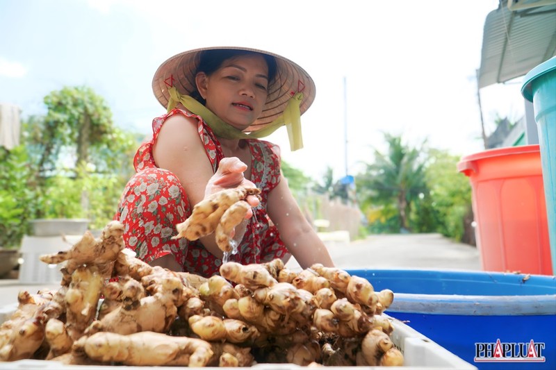 Lang mut Binh Duong chuan bi Tet, nguoi dan tu hao mon mut 'doc la'-Hinh-2