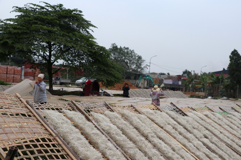 Lang mien dong Duong Lieu 'chay dua' voi don hang Tet