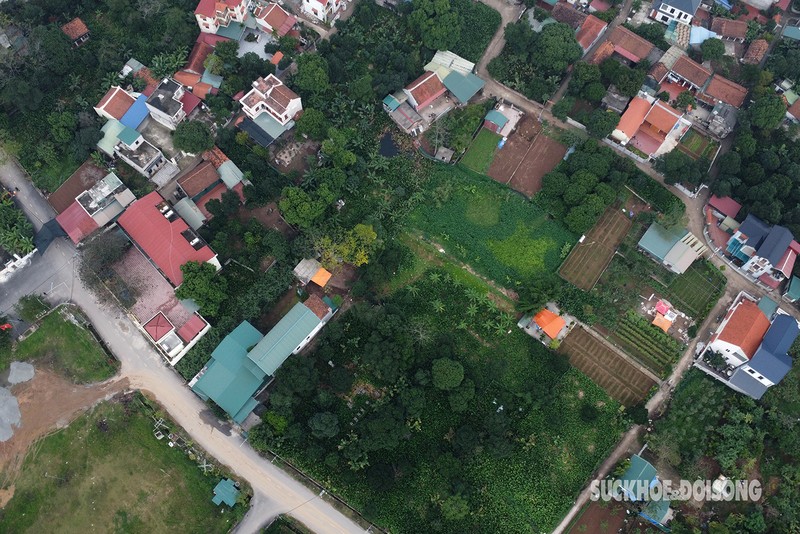 Nguoi dan Trang Cat tat bat 'hai la dem tien' nhung ngay giap Tet-Hinh-2