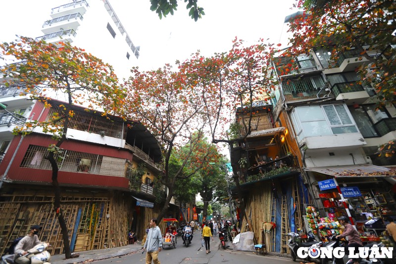 ha noi dep nen tho duoi sac do cua la bang hinh 7