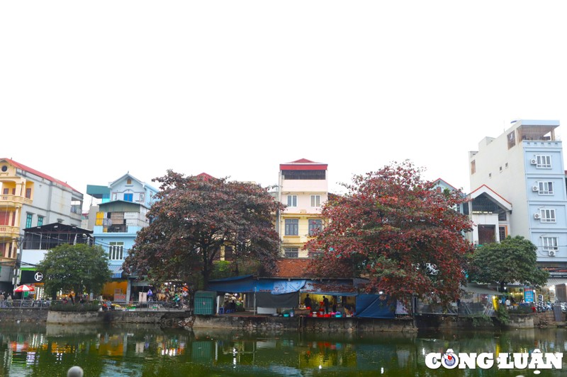 ha noi dep nen tho duoi sac do cua la bang hinh 3