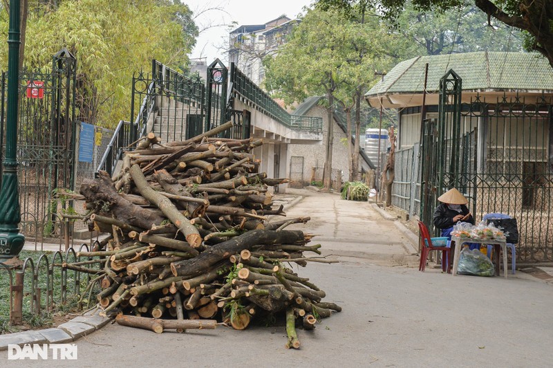 Dong vat o vuon thu Ha Noi duoc dot lua de suoi am-Hinh-3