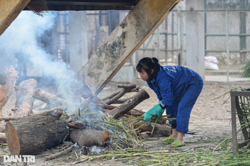 Dong vat o vuon thu Ha Noi duoc dot lua de suoi am-Hinh-4