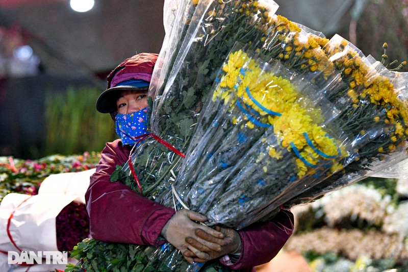 Gia ret, cho hoa lon nhat o Ha Noi hop xuyen dem-Hinh-2